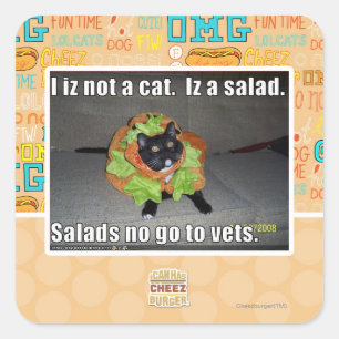 Pegatina Cuadrada No soy un gato. Es una ensalada.