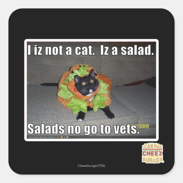Pegatina Cuadrada No soy un gato. Es una ensalada. (Anverso)