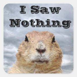 Pegatina Cuadrada No vi nada en el Día de la Marmota