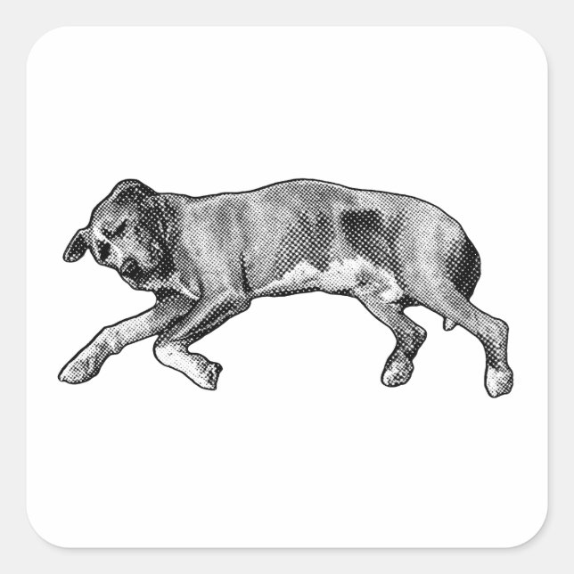 Pegatina Cuadrada Noel Stretch, Long and Light (Anverso)