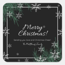 Nombre de familia de Navidades de copos de nieve b