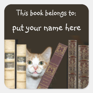 Pegatina Cuadrada Nombre del gato y del libro