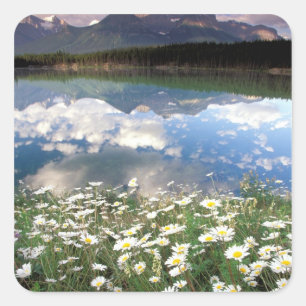 Pegatina Cuadrada Norteamérica, Canadá, Alberta, Parque Nacional Ban
