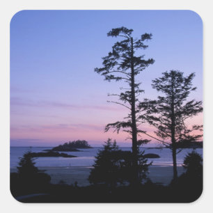 Pegatina Cuadrada Norteamérica, Canadá, Isla de Vancouver, árboles