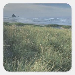 Pegatina Cuadrada Norteamérica, EE. UU., Oregón, Canon Beach,