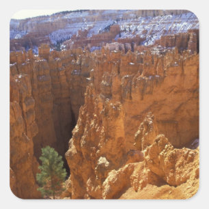 Pegatina Cuadrada Norteamérica, EE. UU., Utah, Bryce Canyon 2
