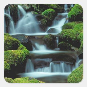 Pegatina Cuadrada Norteamérica; EE. UU.; Washington, cascada Sol Duc