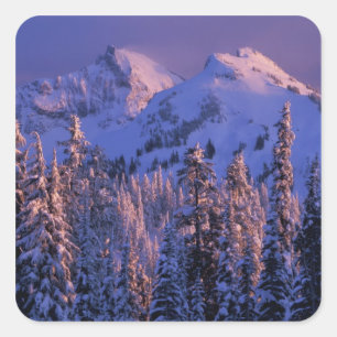 Pegatina Cuadrada Norteamérica, EE. UU., Washington, Monte Rainier 4