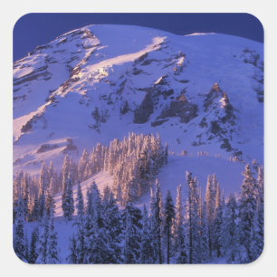 Pegatina Cuadrada Norteamérica, EE. UU., Washington, Monte Rainier 5