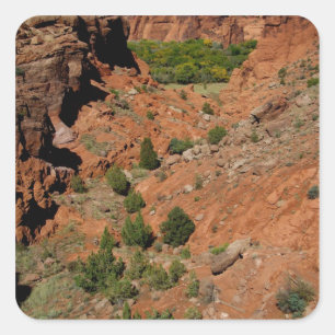 Pegatina Cuadrada Norteamérica, Estados Unidos, Arizona, Indio Nava