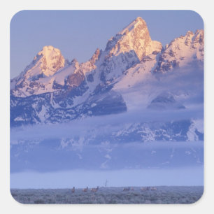 Pegatina Cuadrada Norteamérica, Estados Unidos, Wyoming, Grand Teto