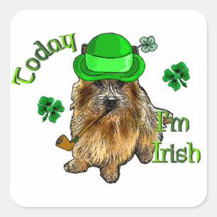 Pegatina Cuadrada Norwich Terrier St Patricks