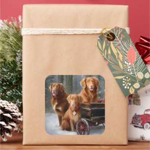 Pegatina Cuadrada Nova Scotia Duck Toller Retriever Trineo Nevado