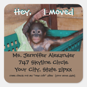 Pegatina Cuadrada Nueva dirección Mono BUsiness