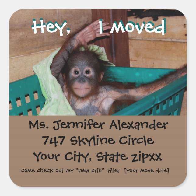 Pegatina Cuadrada Nueva dirección Mono BUsiness (Anverso)