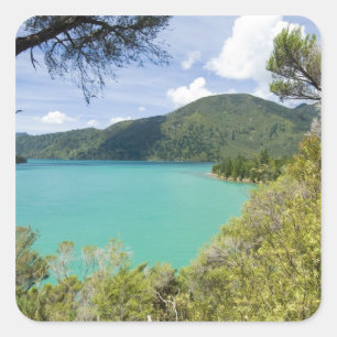 Pegatina Cuadrada Nueva Zelanda, Isla del Sur, Marlborough Sounds.