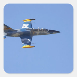 Pegatina Cuadrada Nueva Zelanda, Otago, Wanaka, aves de guerra mayor