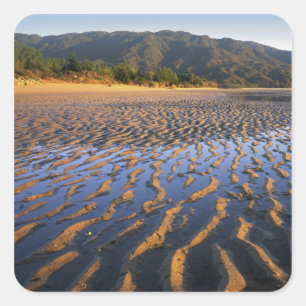 Pegatina Cuadrada Nueva Zelanda, Parque Nacional Abel Tasman, Costa
