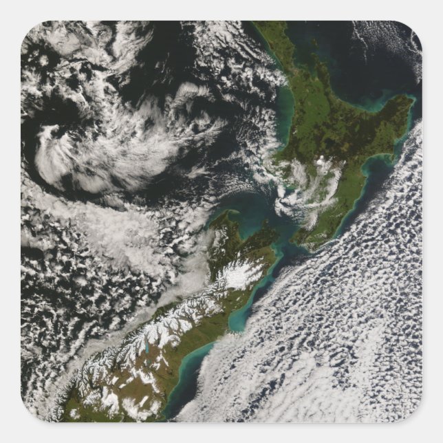 Pegatina Cuadrada Nueva Zelandia 5 (Anverso)