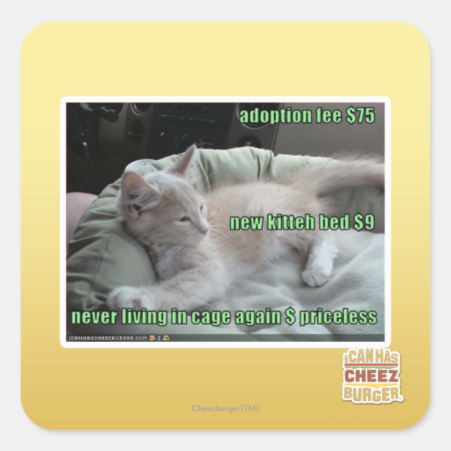 Pegatina Cuadrada Nunca más viviendo en una jaula (Anverso)