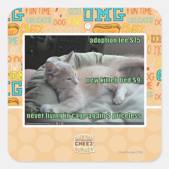 Pegatina Cuadrada Nunca más viviendo en una jaula (Anverso)