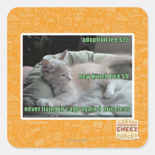 Pegatina Cuadrada Nunca más viviendo en una jaula