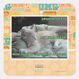 Pegatina Cuadrada Nunca viviendo en una jaula otra vez