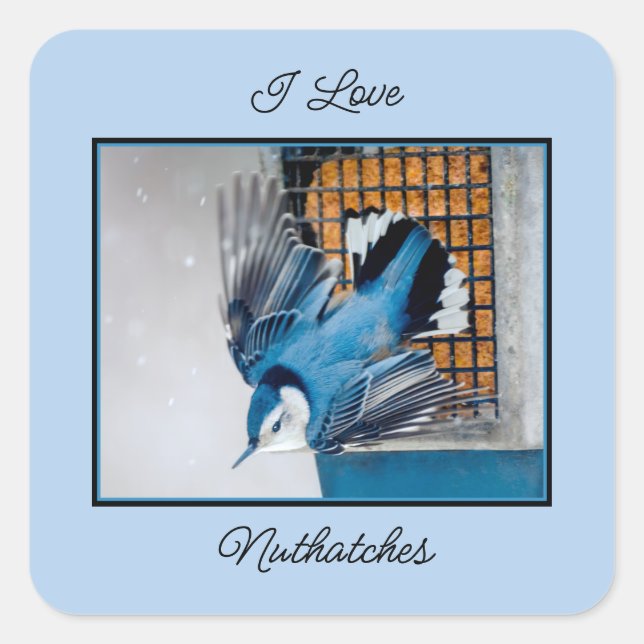 Pegatina Cuadrada Nuthatch blanco en nieve - foto original (Anverso)