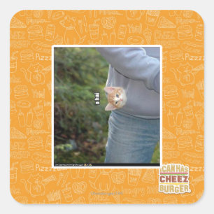 Pegatina Cuadrada O hai