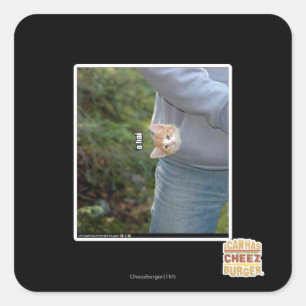 Pegatina Cuadrada O hai