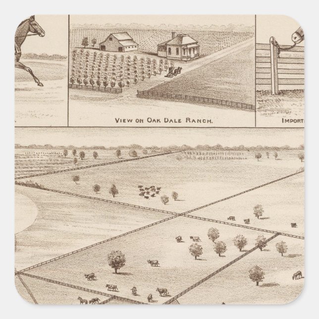 Pegatina Cuadrada Oakdale Ranch (Anverso)