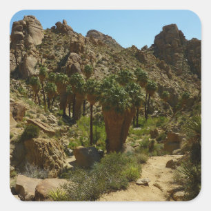 Pegatina Cuadrada Oasis de Lost Palms II en el Parque Nacional Joshu