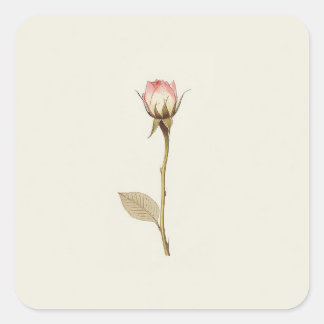 Pegatina Cuadrada Obra de arte de Rosebud of Possibilities
