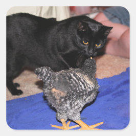 Pegatina Cuadrada Observadores