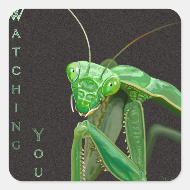 Pegatina Cuadrada Observándote - Versión verde (Anverso)