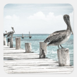 Pegatina Cuadrada Océano costero pelícano
