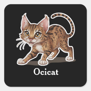 Pegatina Cuadrada Ocicat