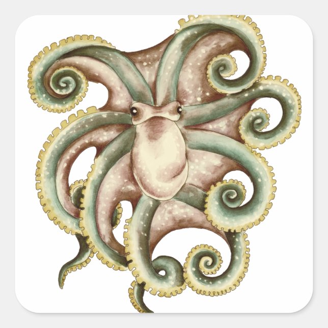 Pegatina Cuadrada Octopus de Greenish (Anverso)