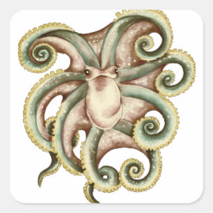 Pegatina Cuadrada Octopus de Greenish