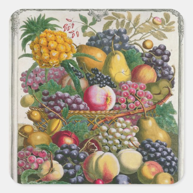 Pegatina Cuadrada Octubre, de los "Doce meses de frutas" (Anverso)