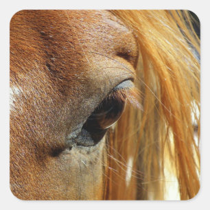 Pegatina Cuadrada Ojo de Caballo Cerrado