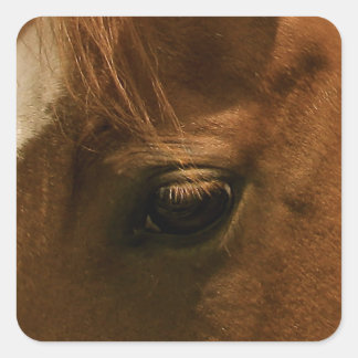 Pegatina Cuadrada Ojo de Caballo Soulous