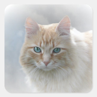 Pegatina Cuadrada Ojos brillantes AH2010