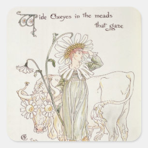 Pegatina Cuadrada Ojos de buey salvajes en las aguamieles que Gaze