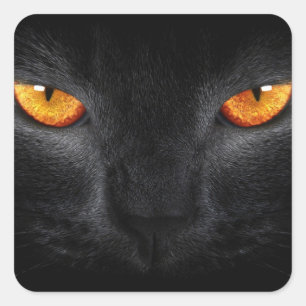 Pegatina Cuadrada Ojos de pantera negra