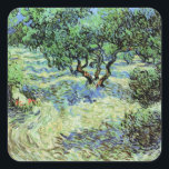 Pegatina Cuadrada Olive Grove de Vincent van Gogh<br><div class="desc">Olive Grove de Vincent van Gogh es una pintura vintage de arte fino post impresionismo por la naturaleza. Van Gogh pintó una docena de paisajes de olivos mientras vivía en el sur de Francia. Un huerto lleno de árboles frutales en una granja durante la temporada estival. Sobre el artista: Vincent...</div>