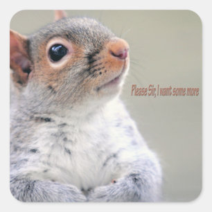 Pegatina Cuadrada Oliver Twist Squirrel