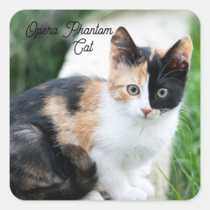 Pegatina Cuadrada Opera Gato fantasma