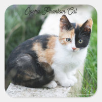 Opera Gato fantasma