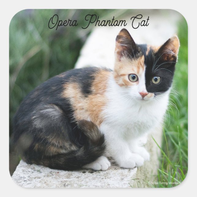 Pegatina Cuadrada Opera Gato fantasma (Anverso)